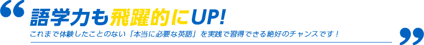 語学力も飛躍的にUP!