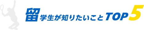 留学生が知りたいことTOP5