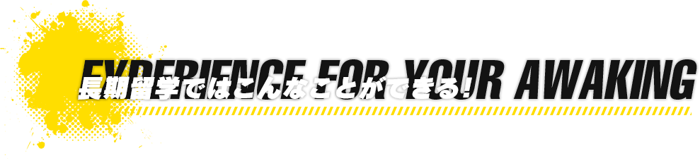 長期留学ではこんなことができる！