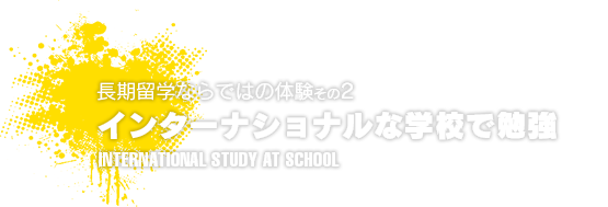 インターナショナルな学校で勉強