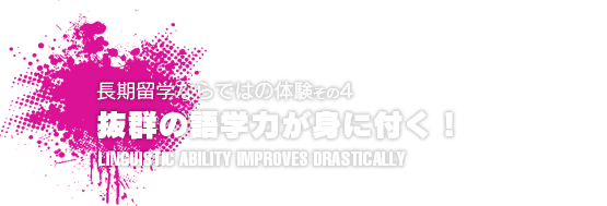 抜群の語学力が身に付く